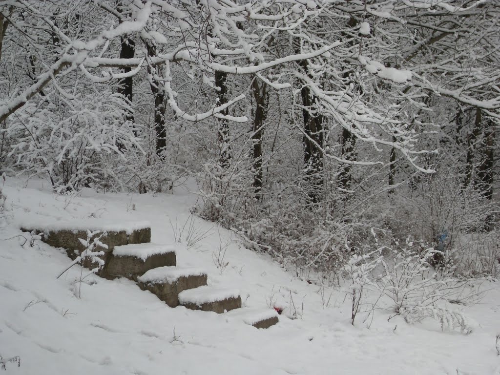 Доманевка . Ступени. Steps.