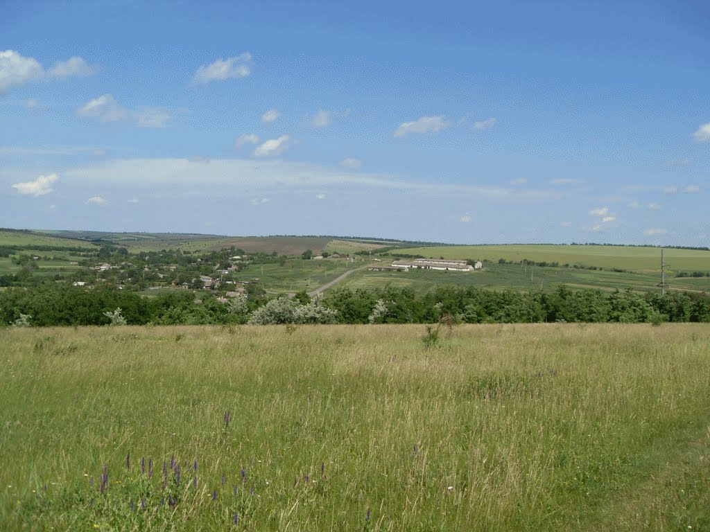 Украинская степь.  Ukrainian steppe.