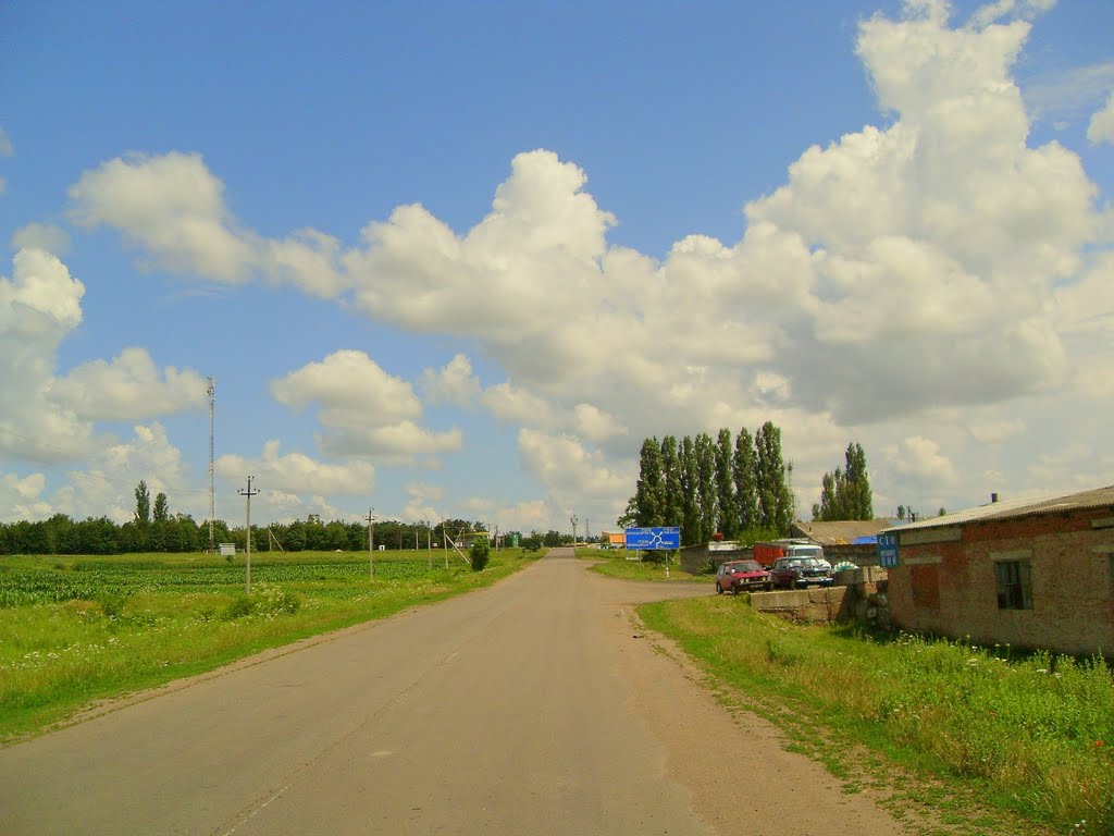 Доманевка. дорога Т1506