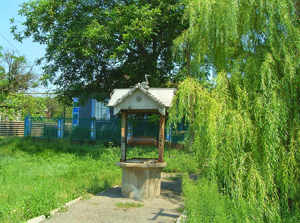 Доманевка. колодец.