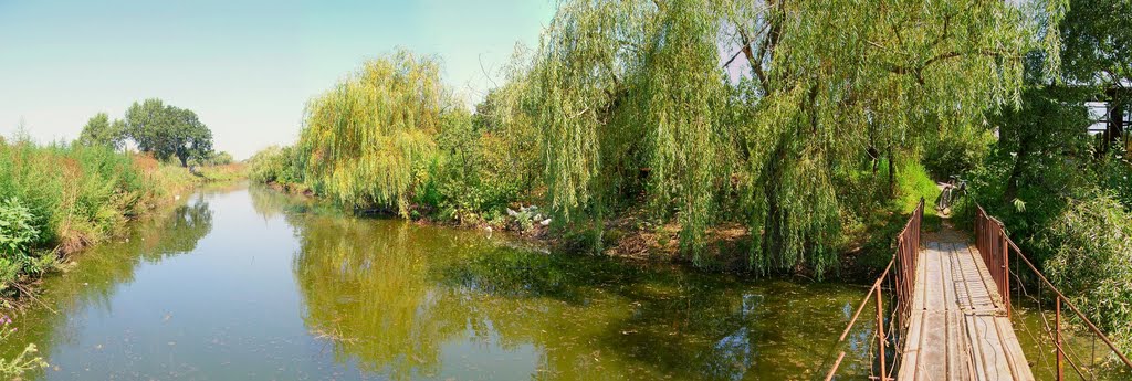 Domanevka, river, bridge.  Доманевка ,     речка, мостик.(10000 просмотров)