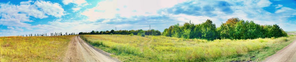 Степная дорога. панорама.