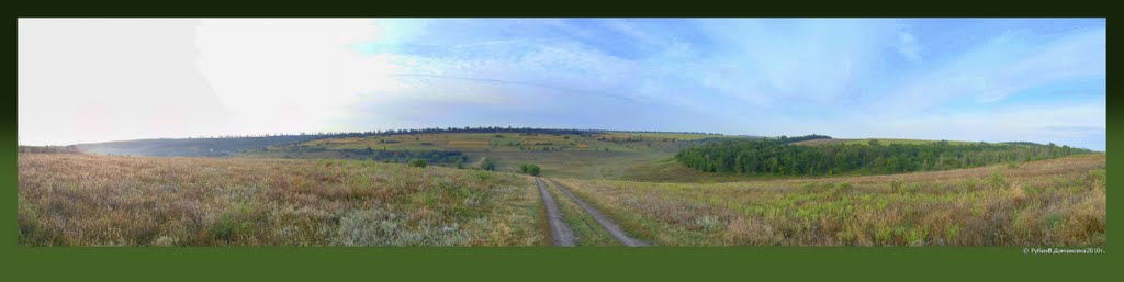 Доманевка. В ту степь. панорама.