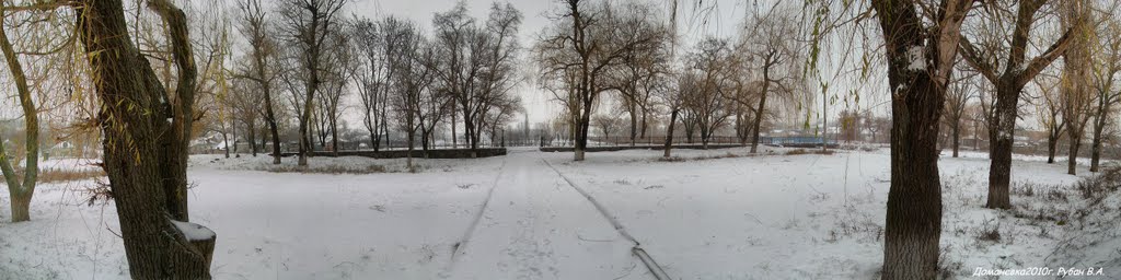 Доманевка. Зима. панорама.
