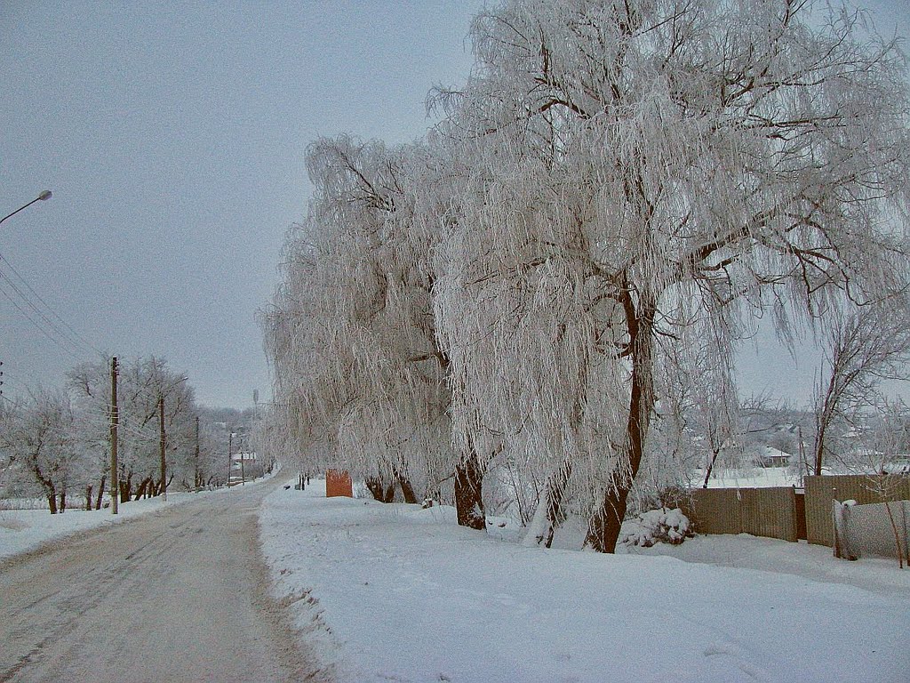 Доманевка. Иней.