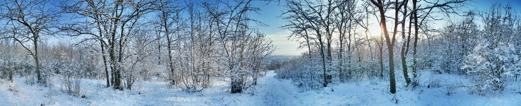 Доманевка. новый снег. панорама.