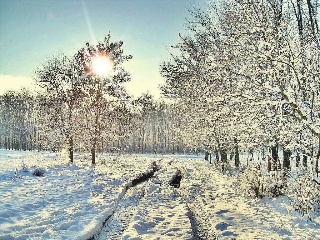 Доманевка. В лучах солнца.