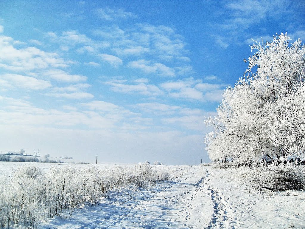 Доманевка. Зима. январь.
