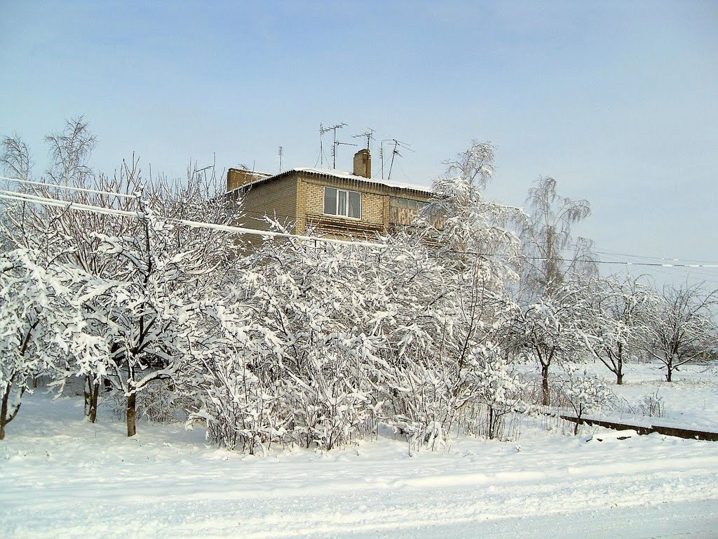 Доманевка. пейзаж.