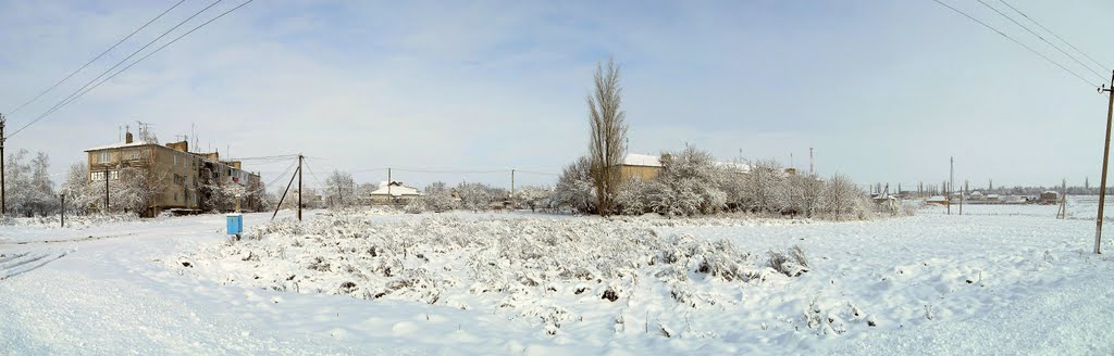 Доманевка. Окраина. панорама.