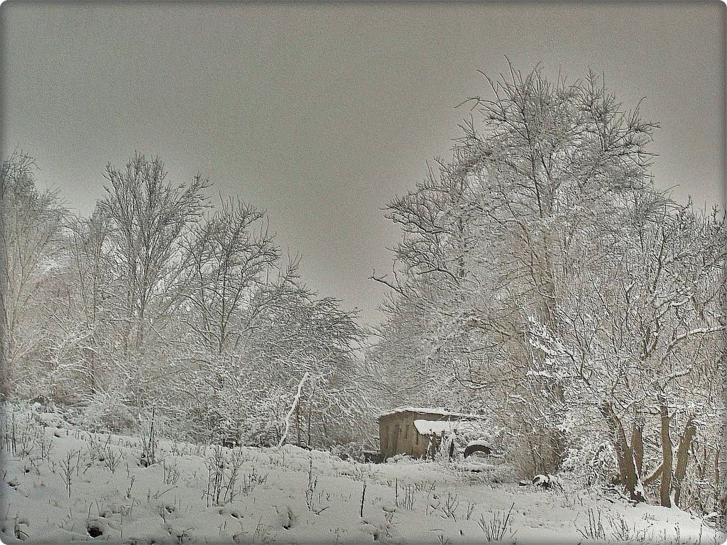 Domanivka