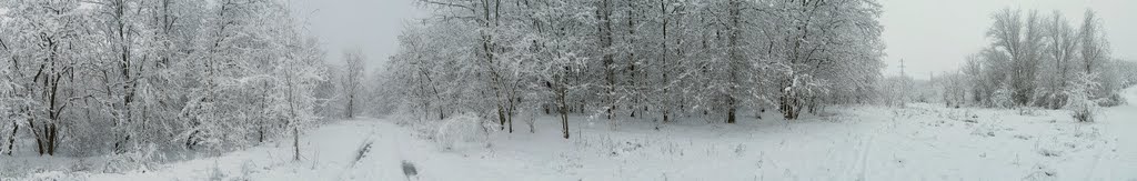 Зима. панорама 1.