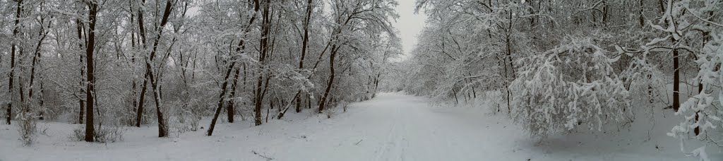 Зима. панорама 2.