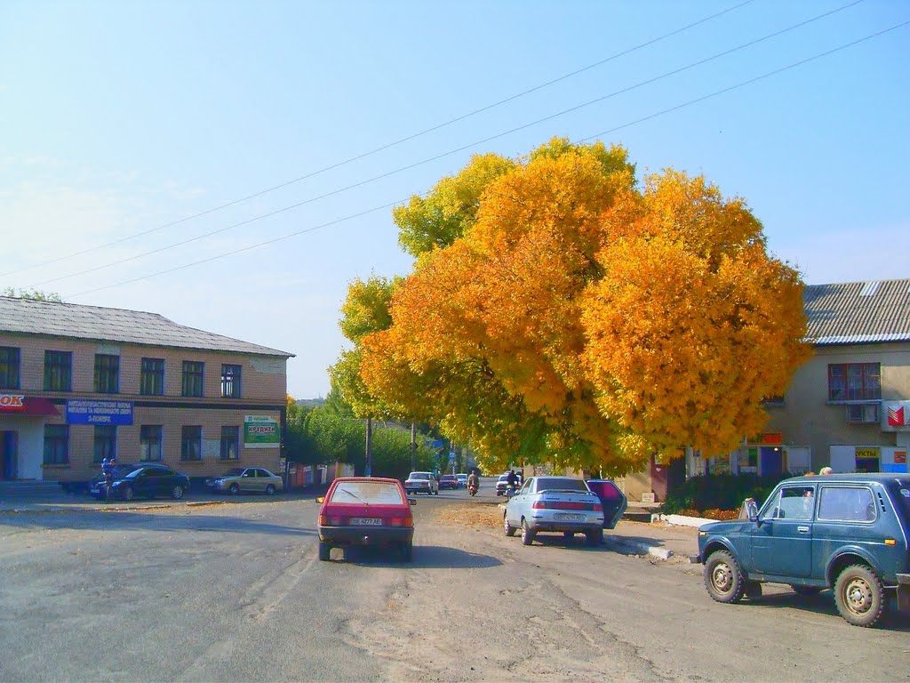 Доманевка, осень, клены.