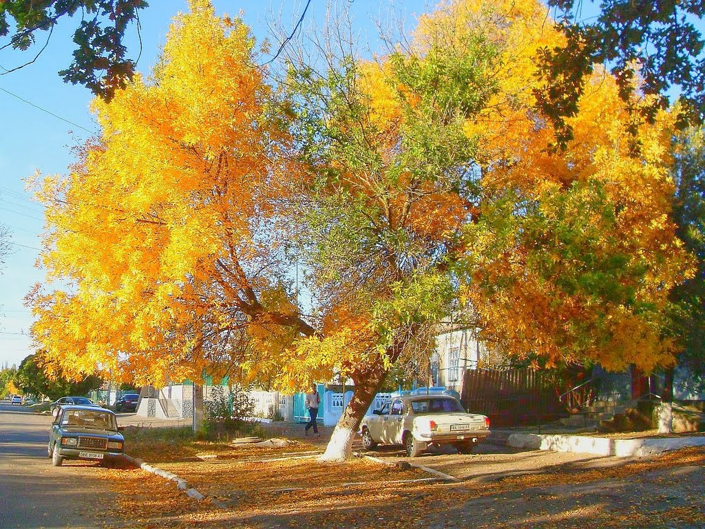 Доманевка. Осень. Бабье лето.