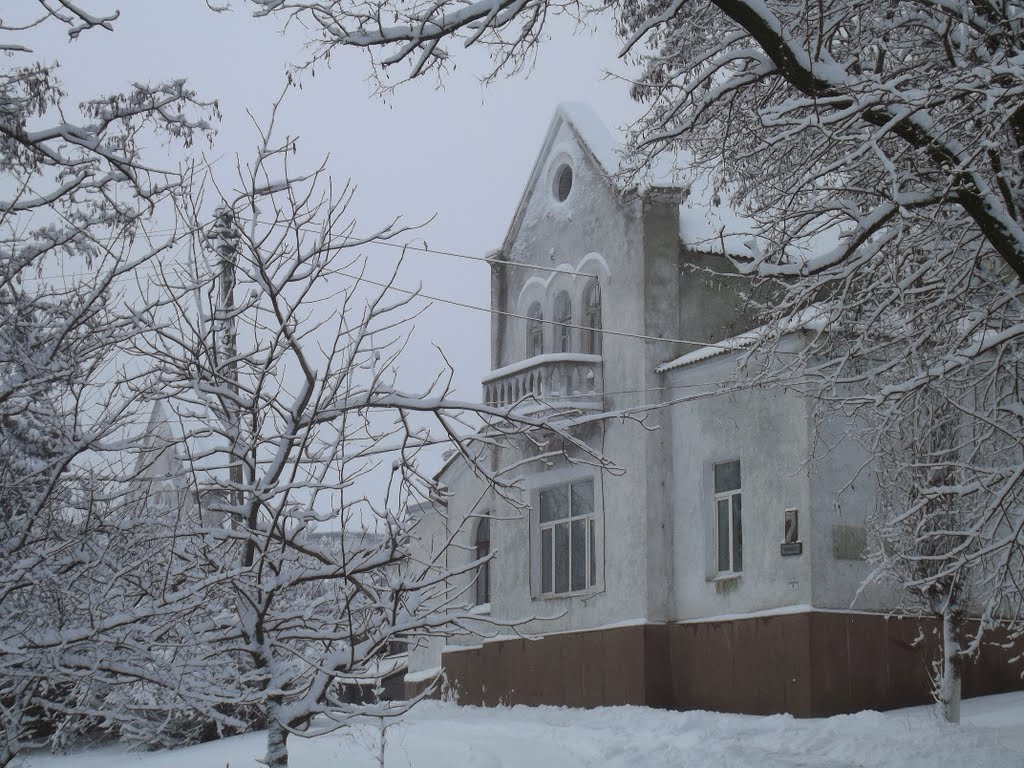 Замок. Доманевка.