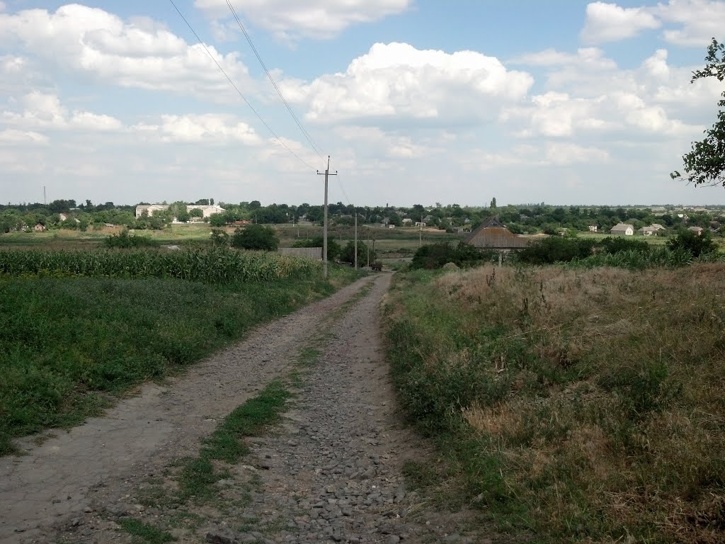 К мосту