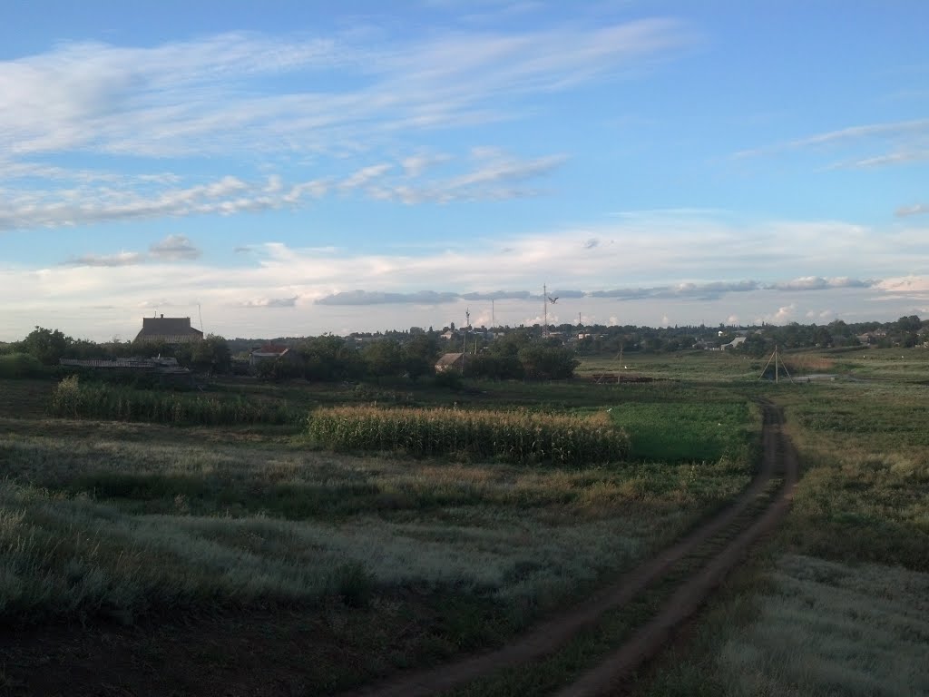 Дорога в балку