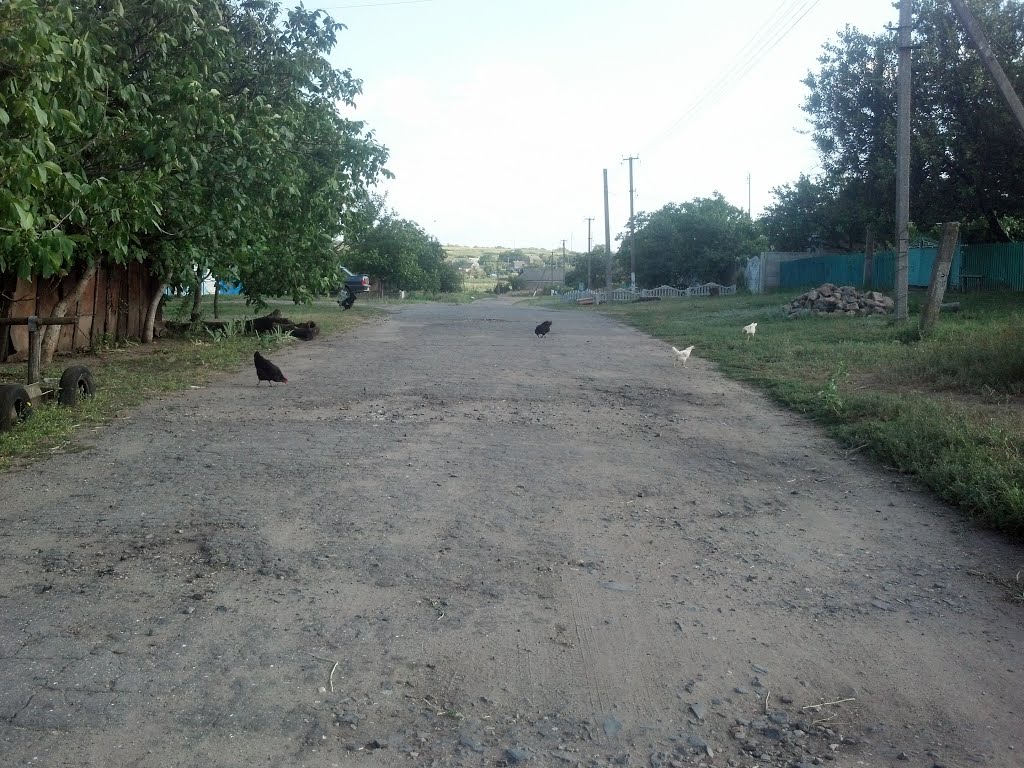 На право