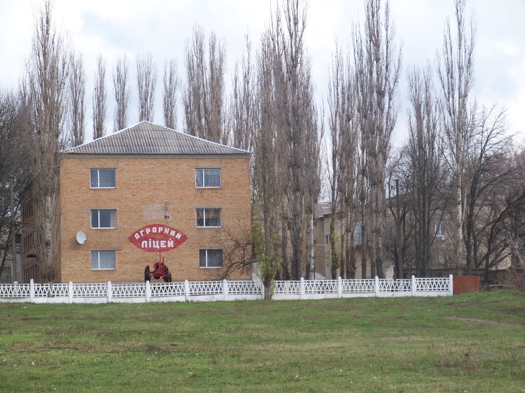 Лицей