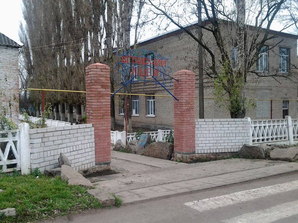 Лицей