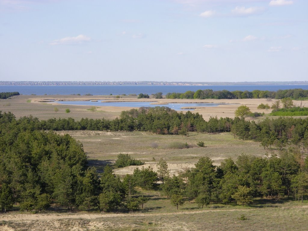 Lesnoe Hozyajstvo