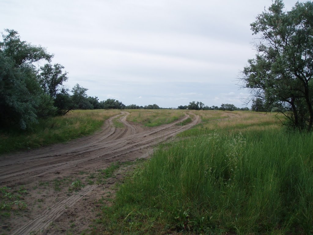 Дороги