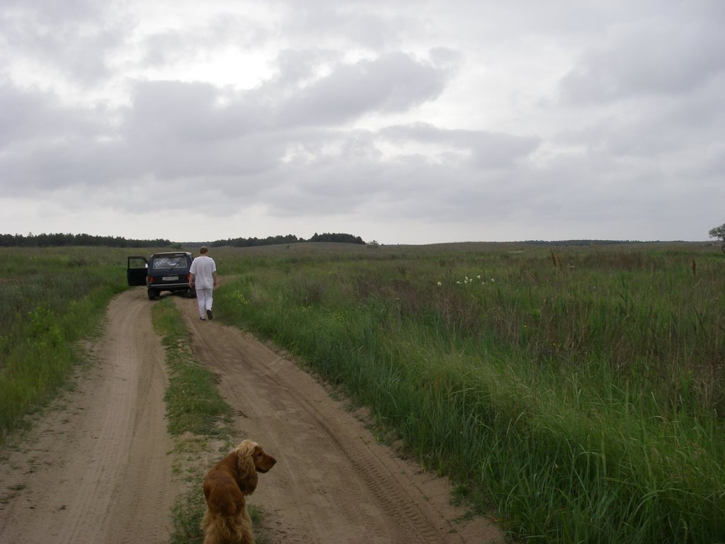дороги Кинбурна/Road of Kinburn