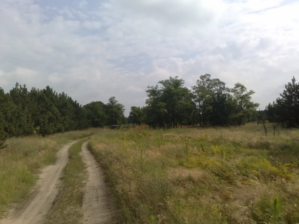 дорога