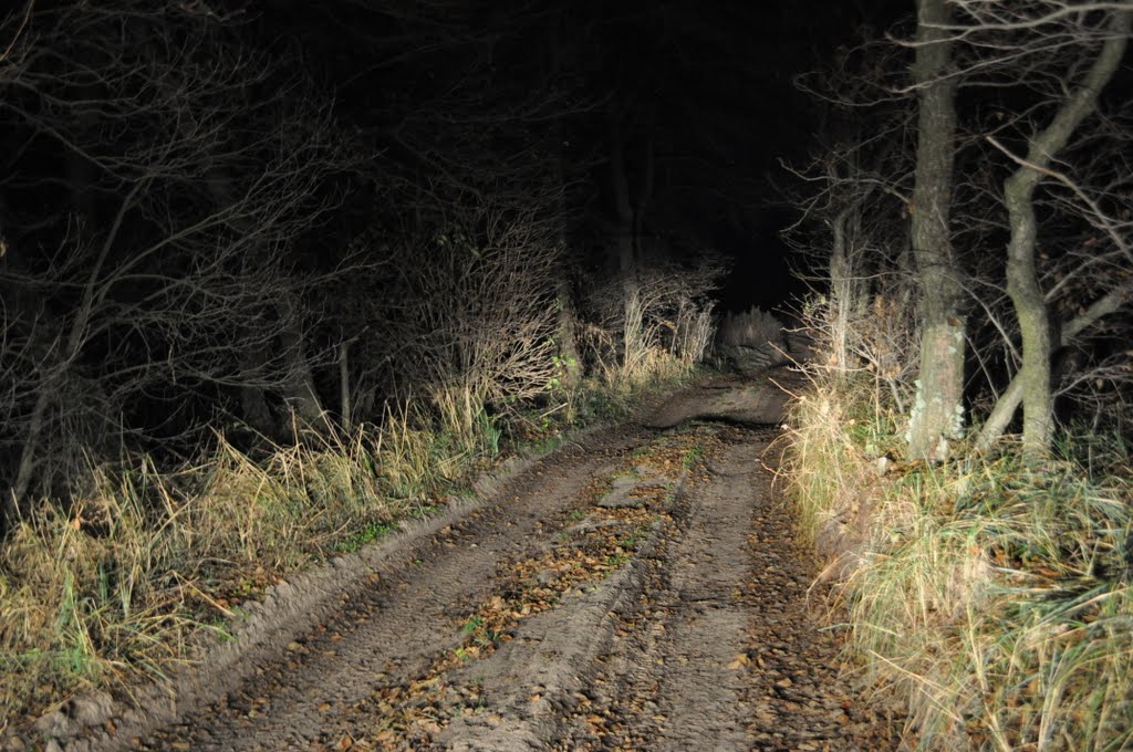Ukraine. Nignt road to Kinburn spit.