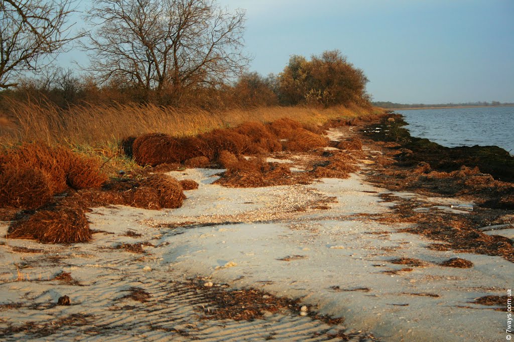 Берег моря после шторма