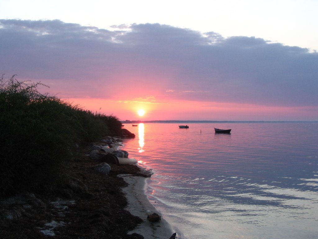 Kinburnskaia spit. V. Pokrovka