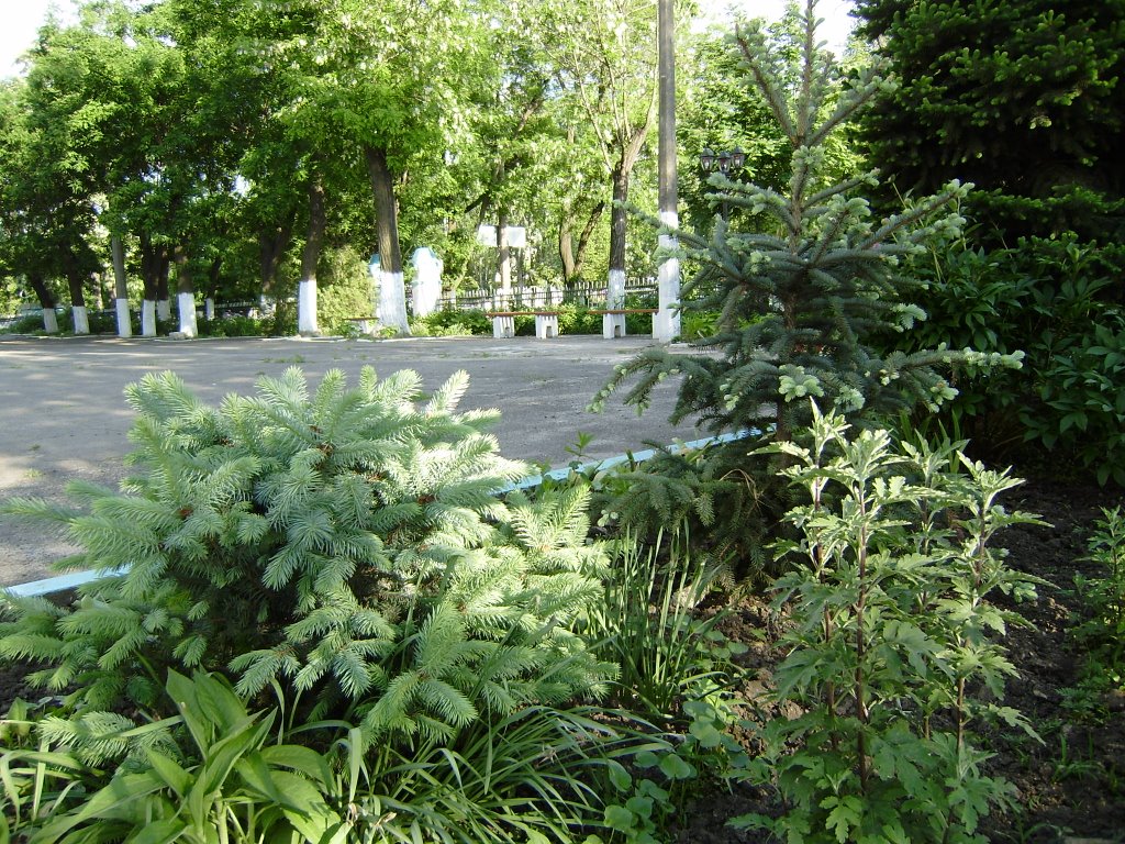 Церковный дворик. Church park