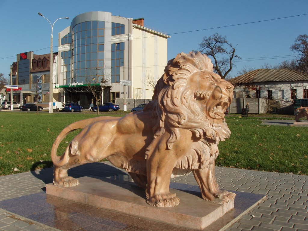 Лев. Сквер на улице Садовая