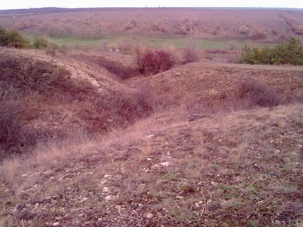 Nova Odesa