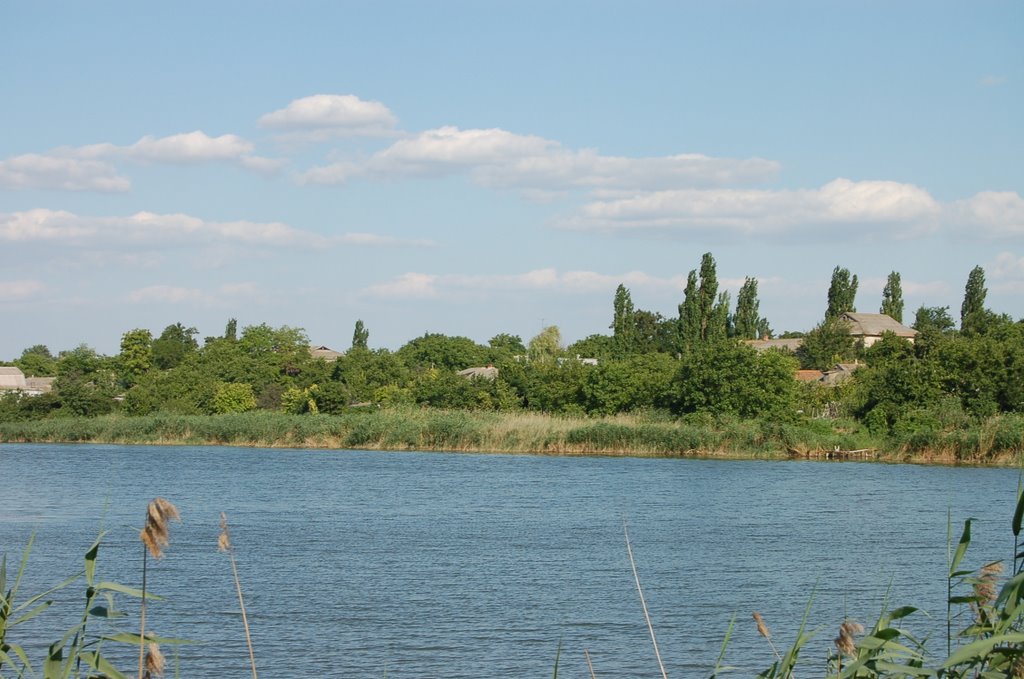 Shevchenkove