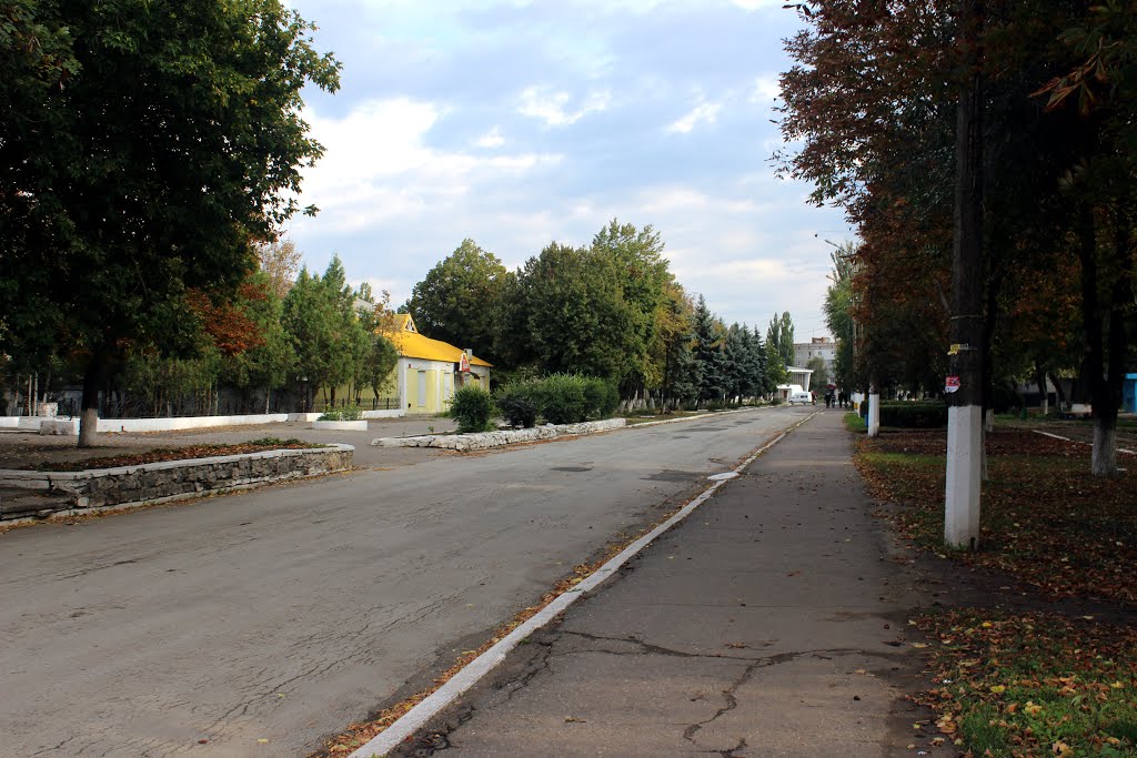 На пути к центральной библиотеке, площади, Дому культуры и техникуму в Новом Буге.
