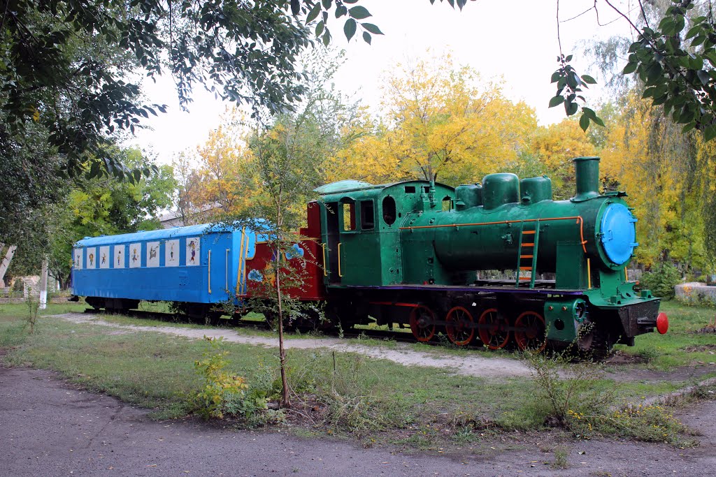 Steam locomotive. Паровоз с вагончиком на узкоколейке.