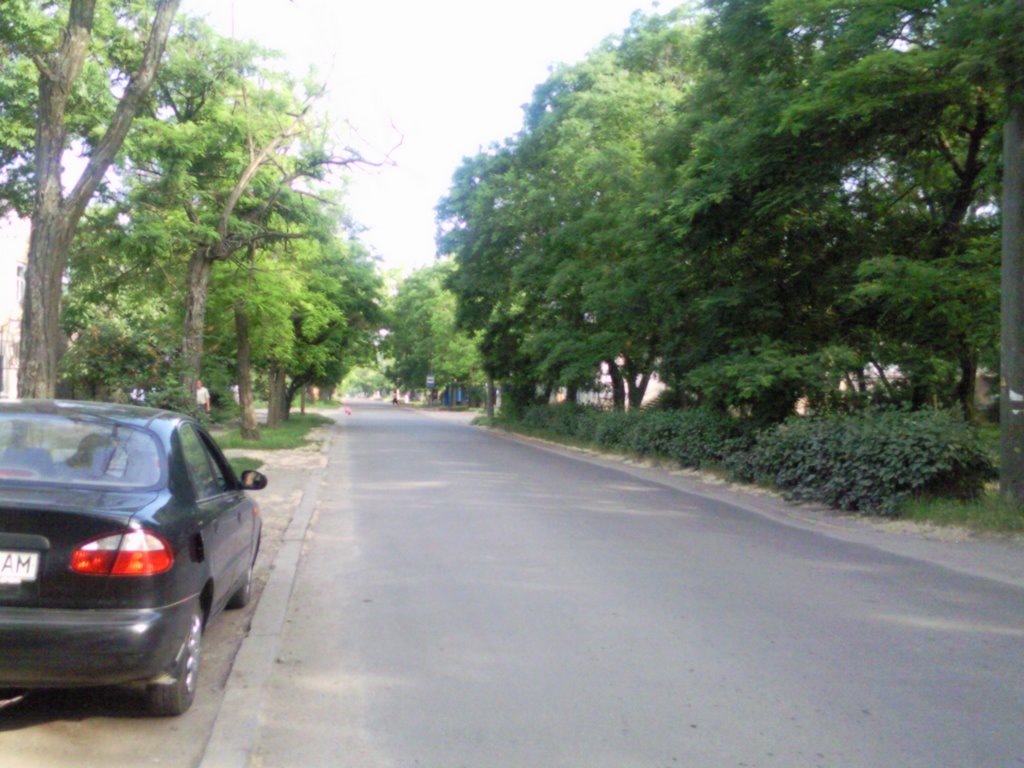 Ул. Энгельса (лето) 1