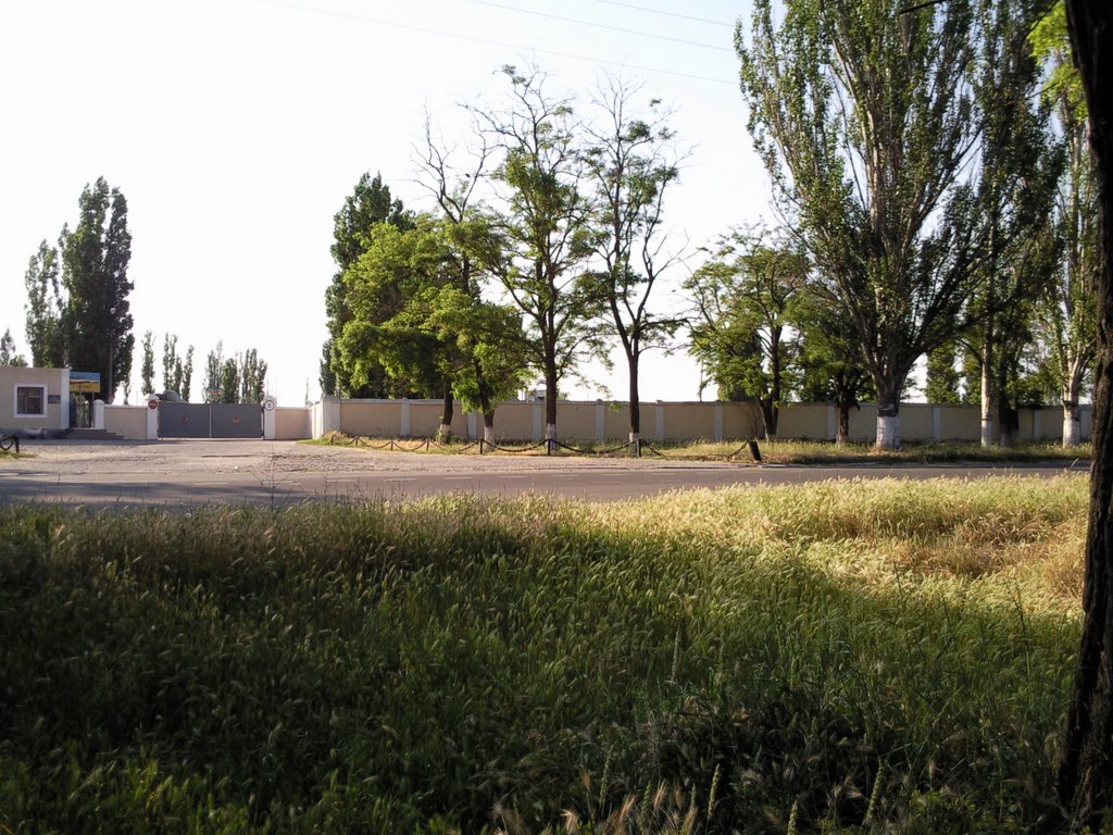 Вход в аэропорт очакова
