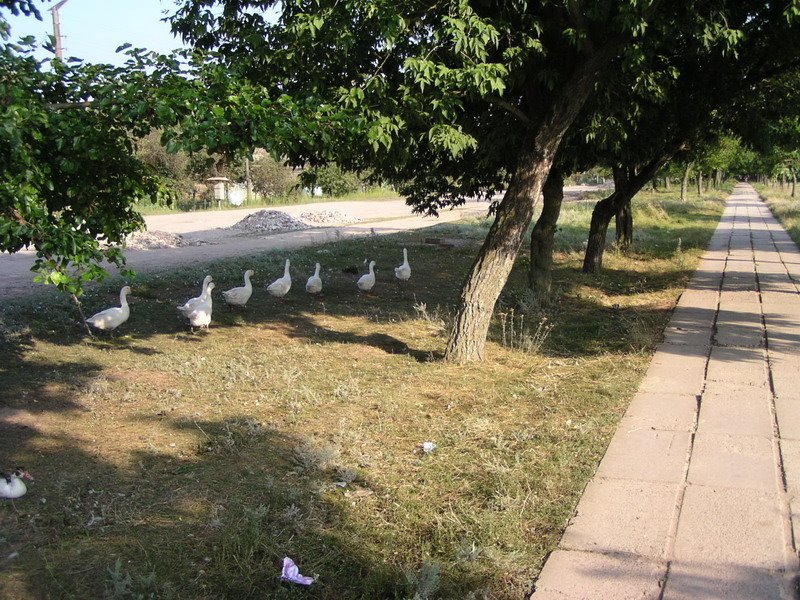 Улица 8-го Марта, около "Дамбы"