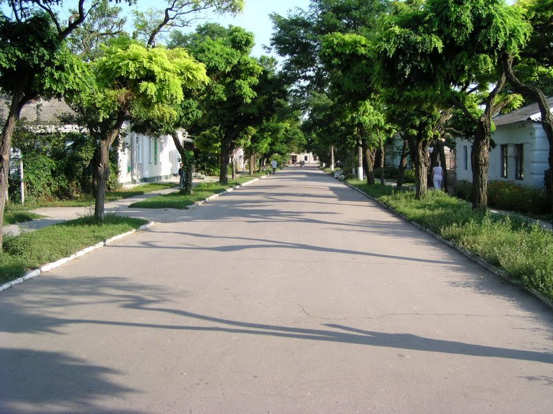 Улица в центре