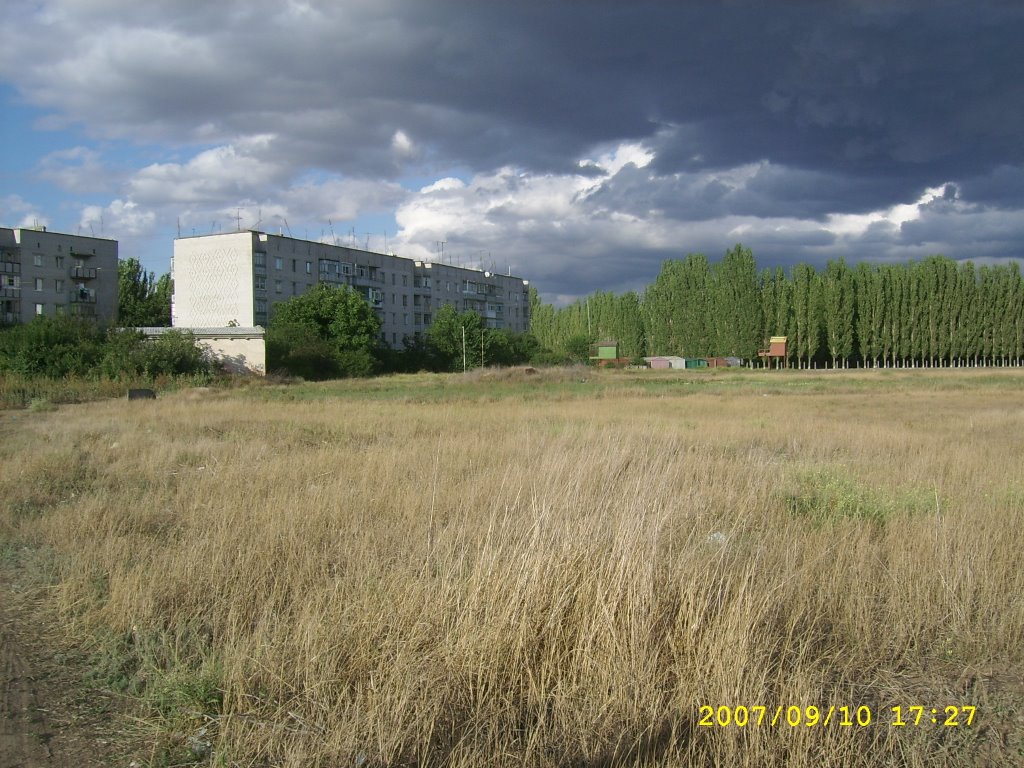 поле