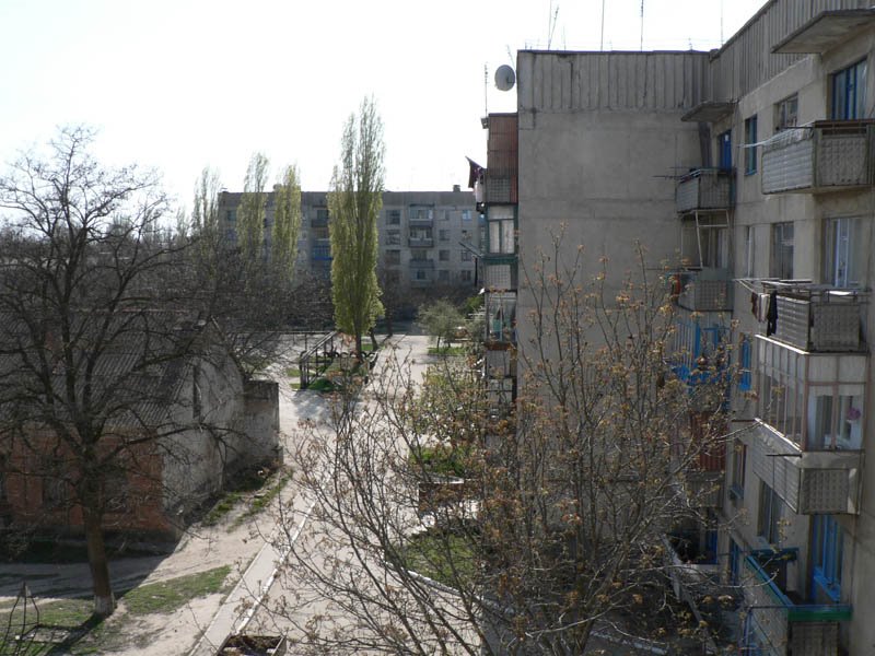 улица Шмидта