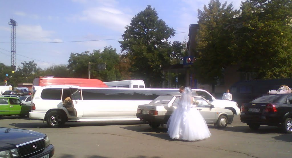 У ЗАГСА