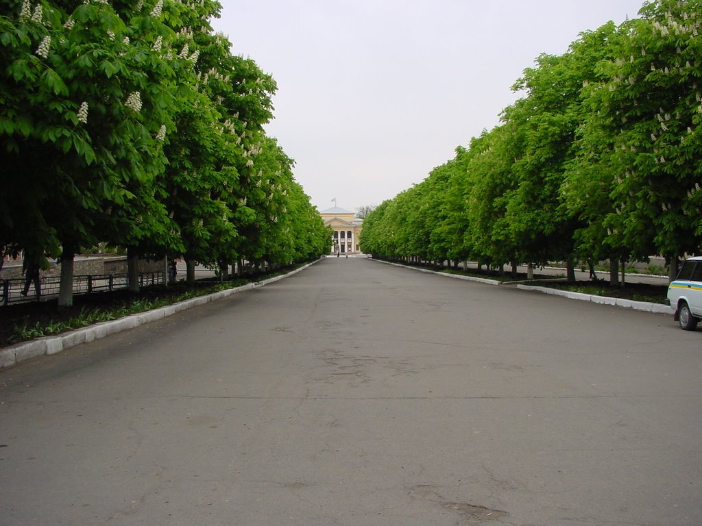 Shevchenko str