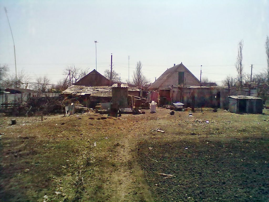 Двор с огорода