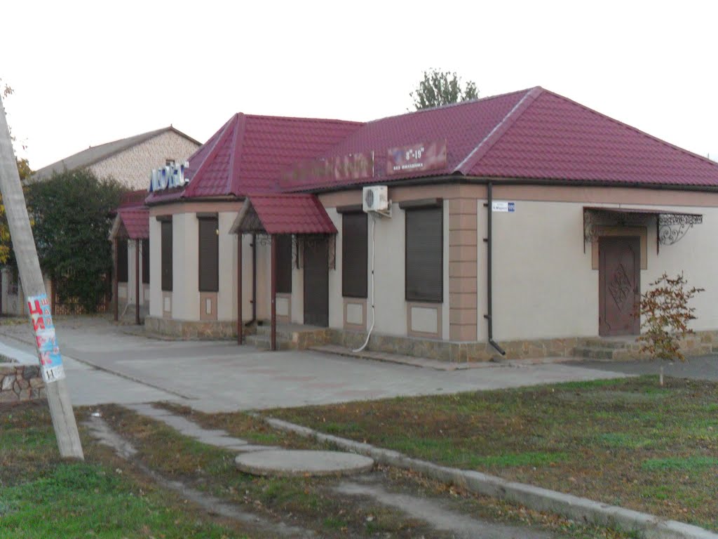 Снигиревка. Улица Карла Маркса, 101