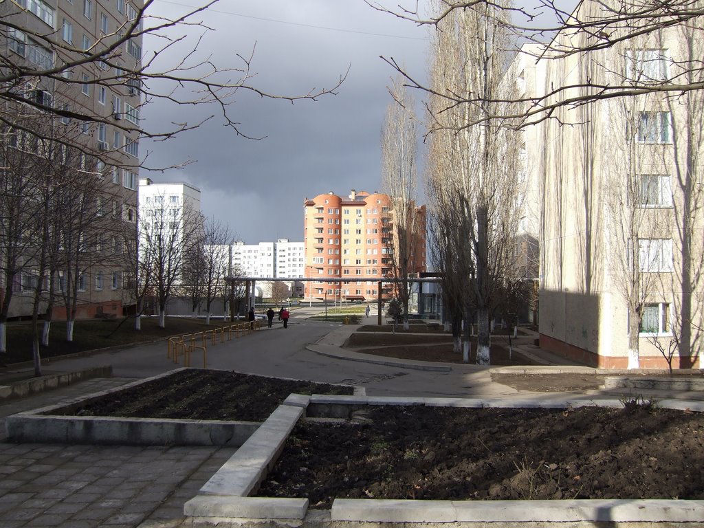 Yujnoukrainsk bl. Shevchenko