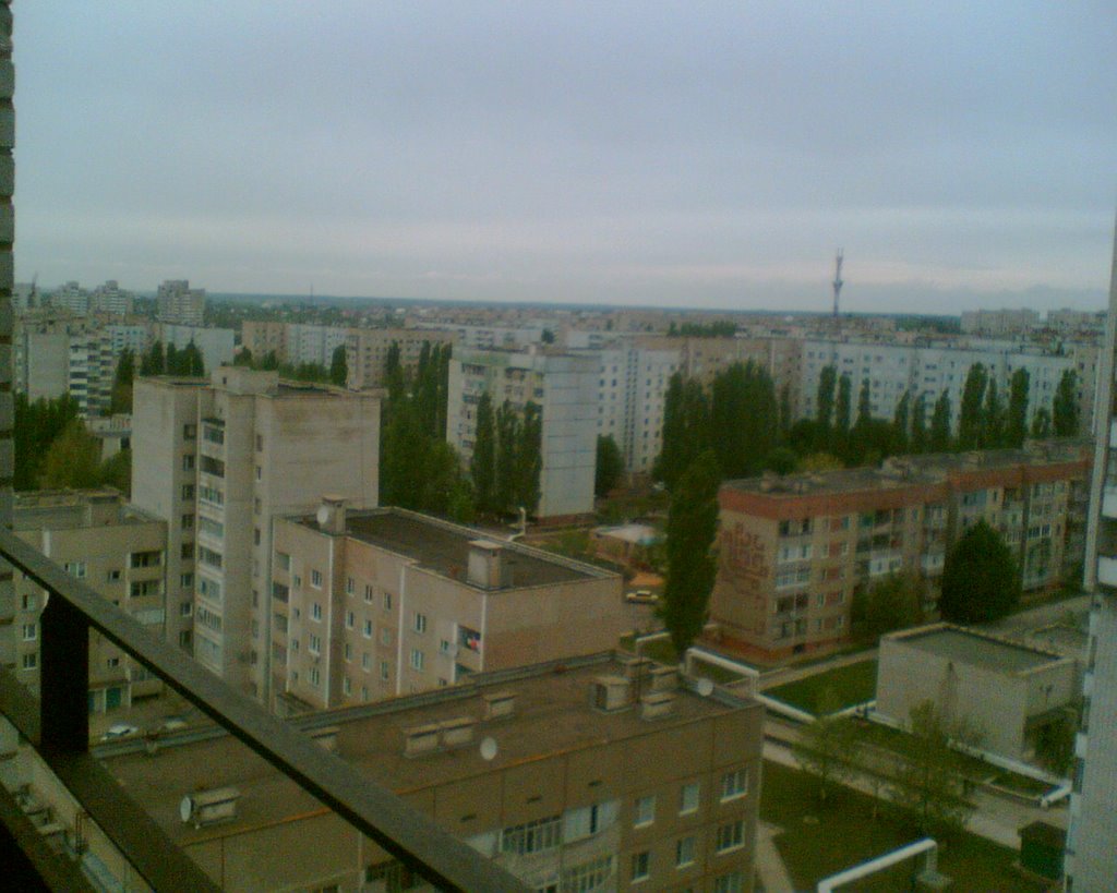View from the roof